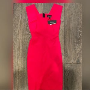 Roland Mouret Pink Sheath Dress
